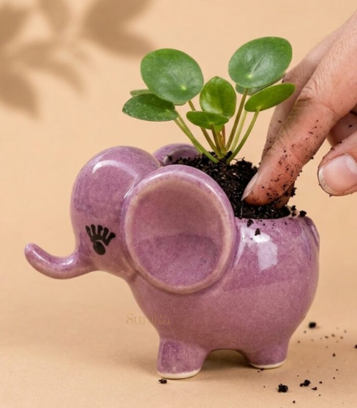 Elephant planter (1)